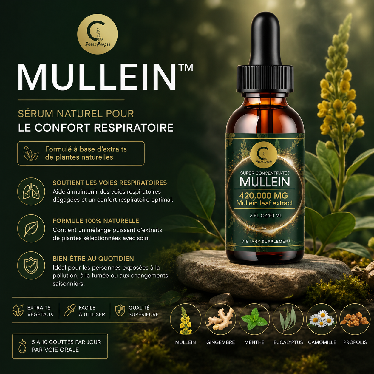 MULLEIN™ | Sérum Purifiant Respiratoire